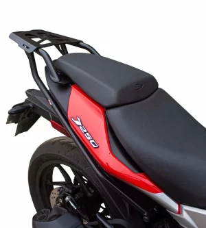 Parrilla Leos Parts Dominar 400 250