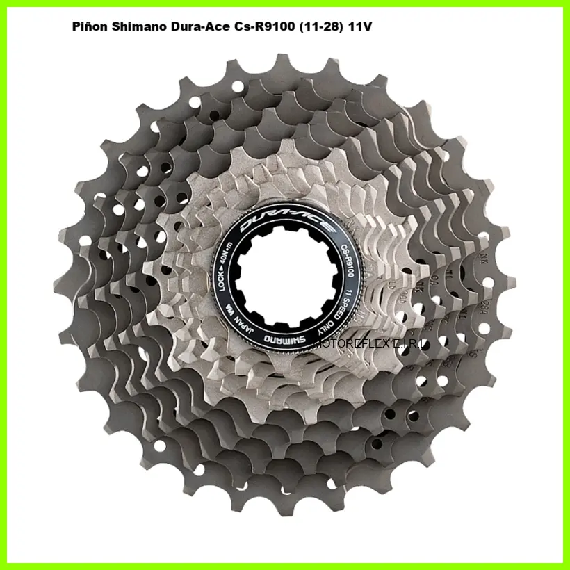 Piñon Shimano Dura-Ace Cs-R9100 (11-28) 11V