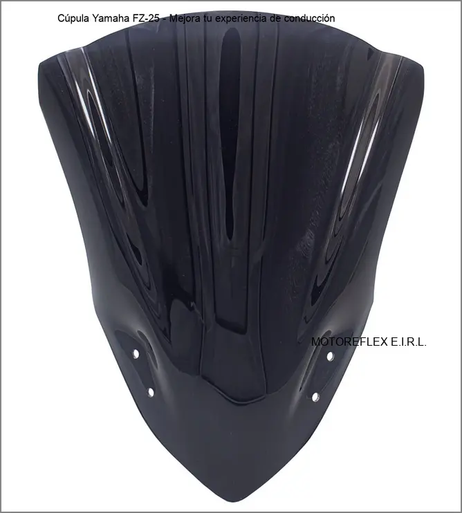 Cúpula Yamaha FZ-25 montada en moto
