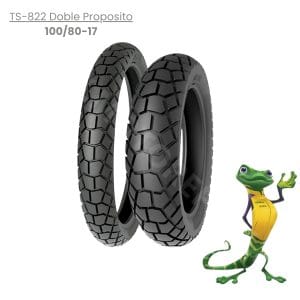 LLANTA TIMSUN TS 822 100/80 -17-TL- 52P
